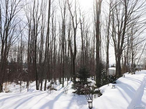 Terre à bois - 34 Rue Desaulniers, Shefford, QC - Outdoor With View