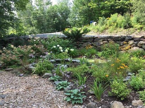 Cour - 34 Rue Desaulniers, Shefford, QC - Outdoor