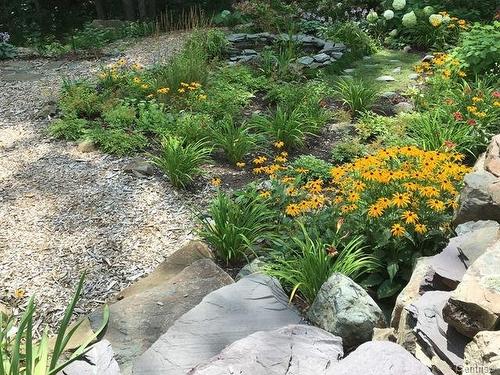 Cour - 34 Rue Desaulniers, Shefford, QC - Outdoor