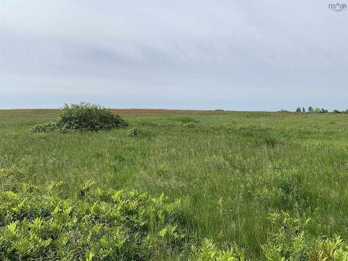 1.25 Ac Lot B Highway 215, Kempt Shore, NS 