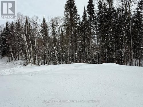 510 South Horn Lake Road, Armour, ON - Outdoor