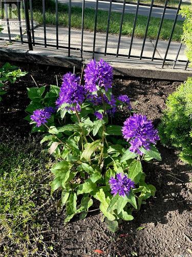 222 Lillooet Street W, Moose Jaw, SK - 