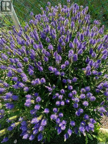 222 Lillooet Street W, Moose Jaw, SK - Outdoor