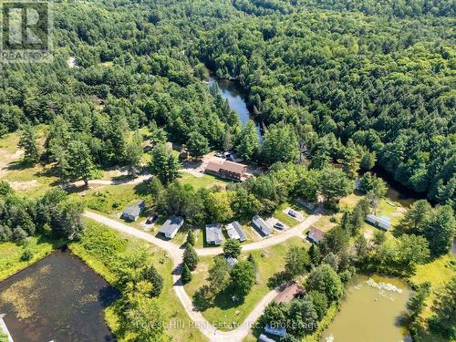 1326 Kawagama Lake Road, Algonquin Highlands (Sherborne), ON 