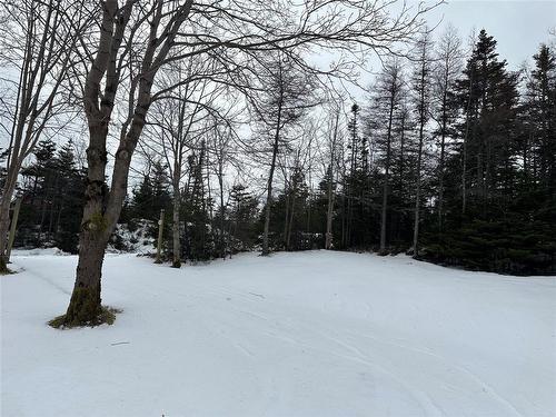 168 Ocean Pond Road, Ocean Pond, NL 