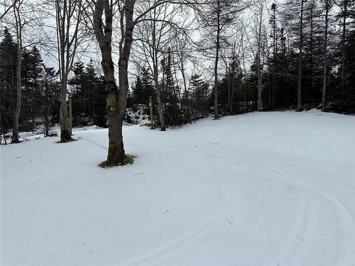 168 Ocean Pond Road, Ocean Pond, NL 