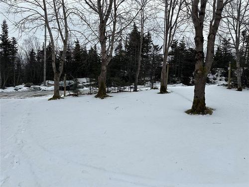 168 Ocean Pond Road, Ocean Pond, NL 