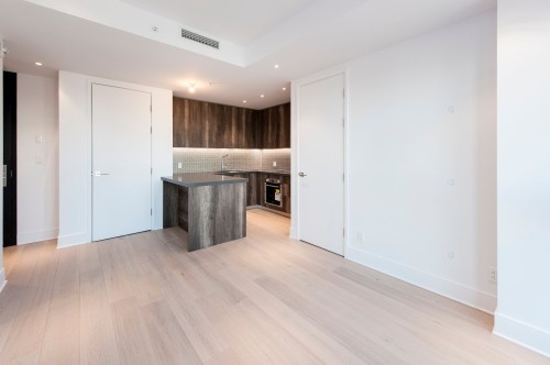 Living Room - 3209-1188 Av. Union, Montréal (Ville-Marie), QC - Indoor Photo Showing Kitchen