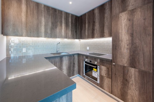 Kitchen - 3209-1188 Av. Union, Montréal (Ville-Marie), QC - Indoor Photo Showing Kitchen