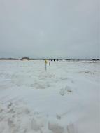 6 Saskatoon Crescent  Steinbach, MB R5G 2Z1