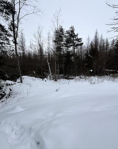 Cour - 1855 Ch. Morrisson, Saint-Lin/Laurentides, QC - Outdoor With View