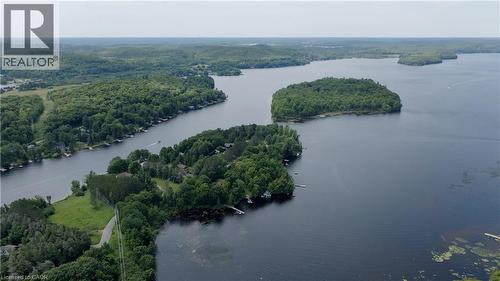 Aerial overview of property's location featuring a forest and a nearby body of water - 85 Hutchinson Beach Road Unit# B56, Huntsville, ON - Outdoor With Body Of Water With View