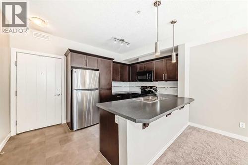 225, 20 Royal Oak Plaza Nw, Calgary, AB - Indoor Photo Showing Kitchen With Stainless Steel Kitchen With Double Sink