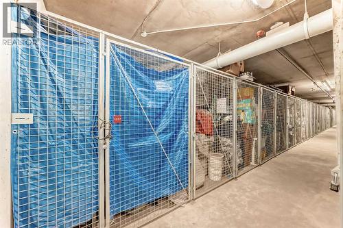 225, 20 Royal Oak Plaza Nw, Calgary, AB - Indoor With Storage