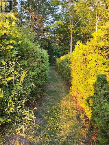 84433 Sunrise Drive, Ashfield-Colborne-Wawanosh (Ashfield), ON - Outdoor