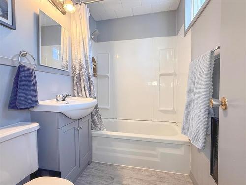 310 Commercial Street, Wawanesa, MB - Indoor Photo Showing Bathroom