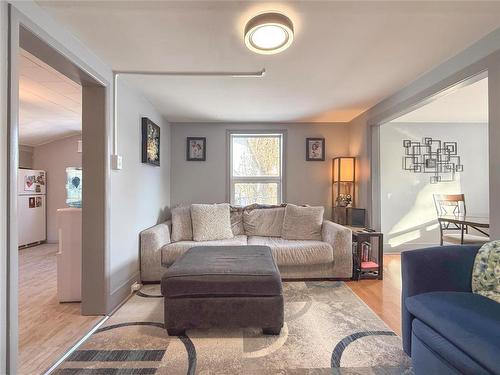 310 Commercial Street, Wawanesa, MB - Indoor Photo Showing Living Room