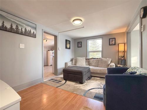 310 Commercial Street, Wawanesa, MB - Indoor Photo Showing Living Room