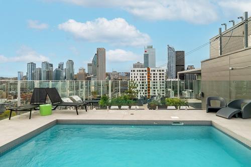 Piscine - 206-888 Rue Wellington, Montréal (Ville-Marie), QC - Outdoor With In Ground Pool