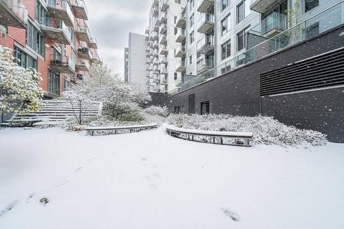 Terrasse - 206-888 Rue Wellington, Montréal (Ville-Marie), QC - Outdoor