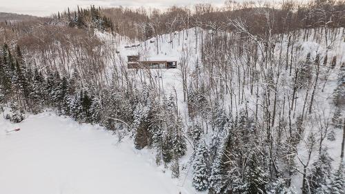 Vue d'ensemble - 4220 Rue Des Monarques, Sainte-Adèle, QC - Outdoor With View