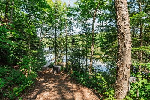 Accès au plan d'eau - 4220 Rue Des Monarques, Sainte-Adèle, QC - Outdoor