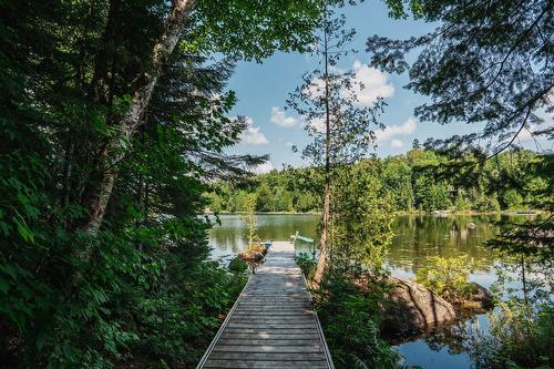 Bord de l'eau - 4220 Rue Des Monarques, Sainte-Adèle, QC - Outdoor With Body Of Water With View
