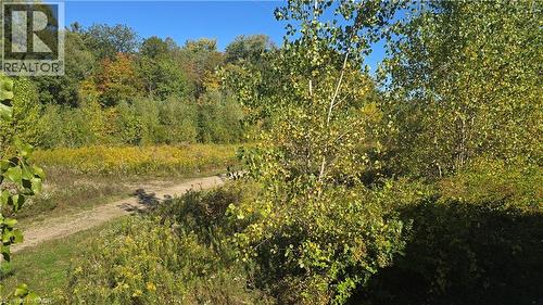 Trail with view of wooded area - 115 South Creek Drive Unit# 15D, Kitchener, ON - Outdoor With View