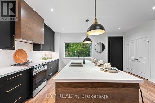 168 Berczy Street, Barrie, ON - Indoor Photo Showing Kitchen With Double Sink With Upgraded Kitchen