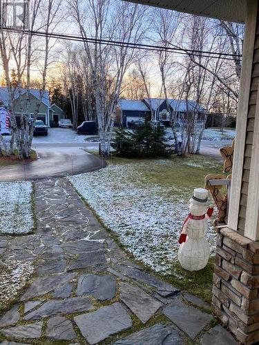 21 Lakeshore Drive, Pasadena, NL - Outdoor