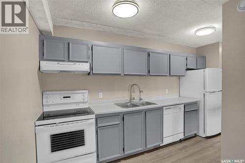519 4045 Rae Street, Regina, SK - Indoor Photo Showing Kitchen With Double Sink