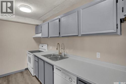 519 4045 Rae Street, Regina, SK - Indoor Photo Showing Kitchen With Double Sink