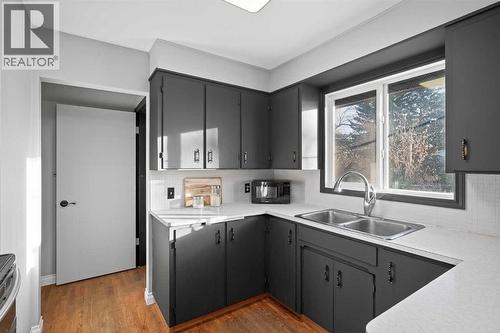 4112 19 Street Nw, Calgary, AB - Indoor Photo Showing Kitchen With Double Sink