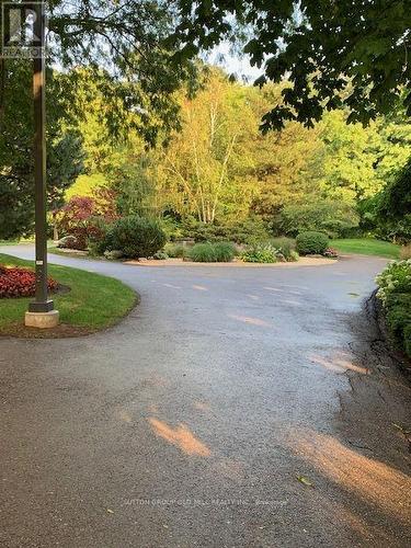 Ph2 - 284 Mill Road, Toronto, ON - Outdoor With View