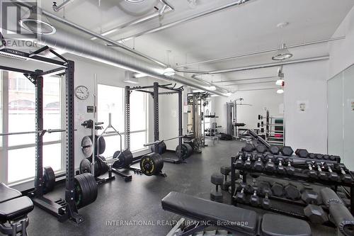 Gym - 408 - 800 King Street W, Toronto, ON - Indoor Photo Showing Gym Room