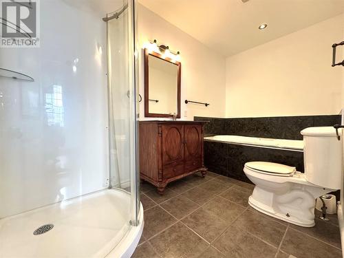3 Shaws Lane, Deer Lake, NL - Indoor Photo Showing Bathroom