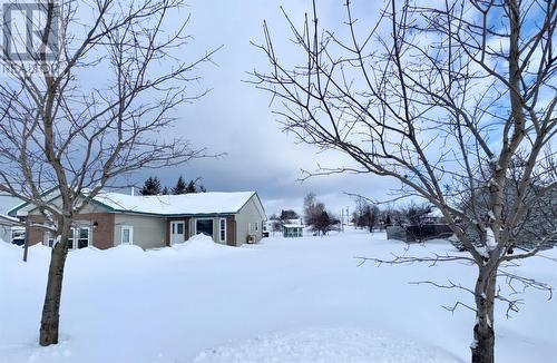 3 Shaws Lane, Deer Lake, NL - Outdoor