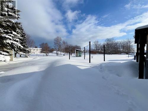 3 Shaws Lane, Deer Lake, NL - Outdoor With View