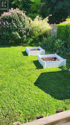 Backyard in the summer - 269 6Th Street E, Owen Sound, ON - Outdoor