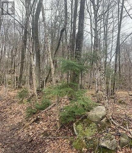 1154 Delia Road, Bracebridge (Macaulay), ON 