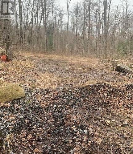 1154 Delia Road, Bracebridge (Macaulay), ON 