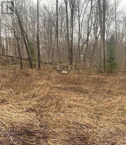 1154 Delia Road, Bracebridge (Macaulay), ON 