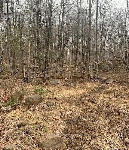 1154 Delia Road, Bracebridge (Macaulay), ON 