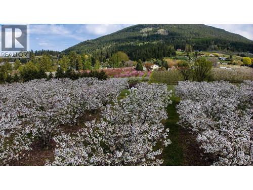 2813 3 Highway, Creston, BC 