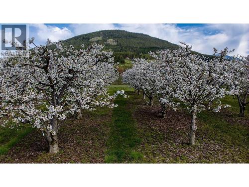 2813 3 Highway, Creston, BC 