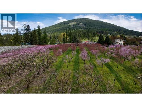 2813 3 Highway, Creston, BC 