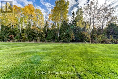 Backyard Views - 5 Misty Ridge Road, Wasaga Beach, ON - Outdoor