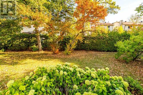backyard - 14 - 27 Pine Needles Court, Ottawa, ON - Outdoor