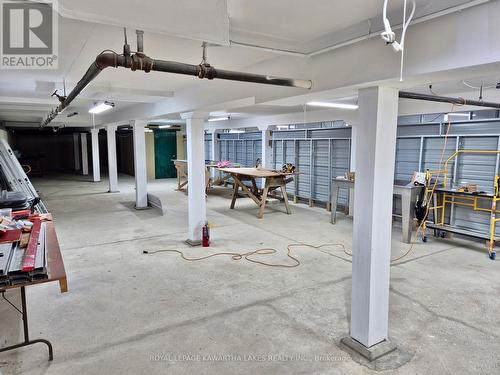 21 Ann Street, Brock (Cannington), ON - Indoor Photo Showing Garage