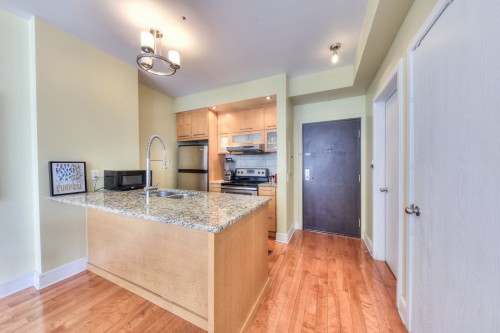 Cuisine - 406-150 Rue Sherbrooke E., Montréal (Ville-Marie), QC - Indoor Photo Showing Kitchen With Double Sink